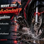 โช้คหน้า Wave 125i ยุบแล้วเด้งผิดปกติ เช็กคราบน้ำมันที่แกนโช้ค ซีล และอาการสะท้านที่แฮนด์